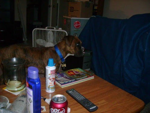 n574001314_358187_6465