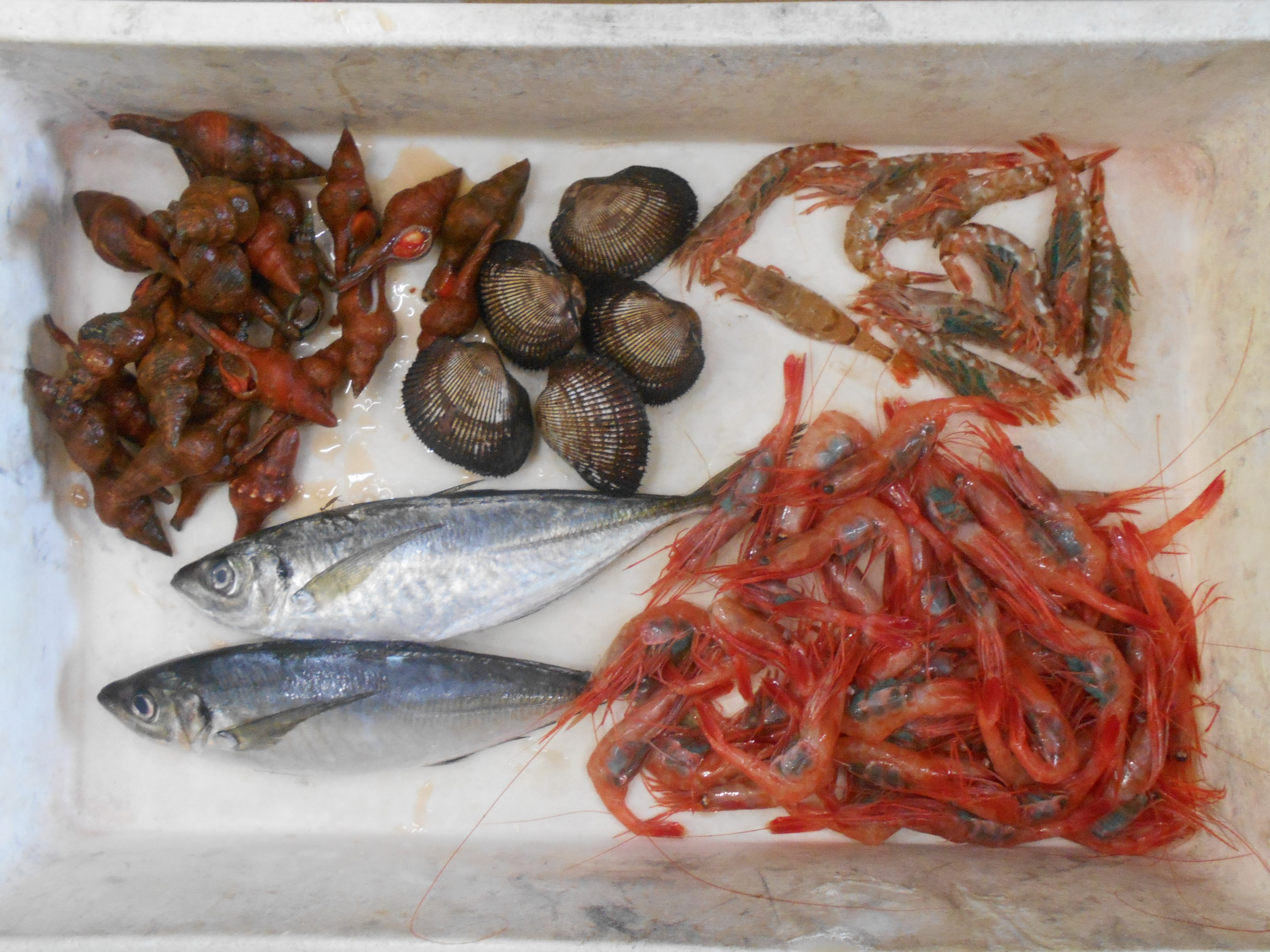 金沢 幸兵衛寿司