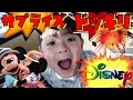 [最も欲しかった] サプライズ ディズニー 590273-サプライズ ディズニーランド 動画