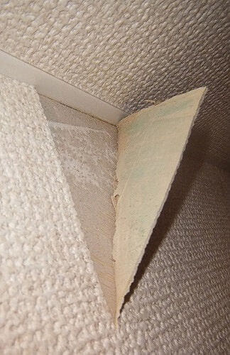 はがれた壁紙を文房具で補修してみたら うまくできた ひとりnaviコム