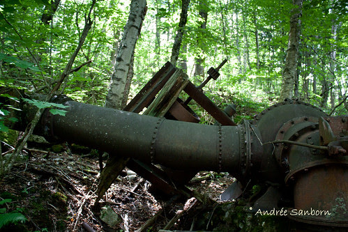 Abandoned Penstock & Turbine in Westmore (looking uphill)-6.jpg
