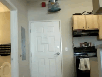 悪質ないたずらのｇｉｆ Gifまとめ
