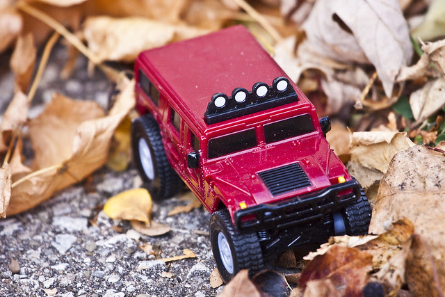 car leaves
