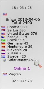 visitor counter widget