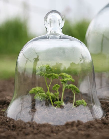 Home >> Victorian Style Glass Bell Jar