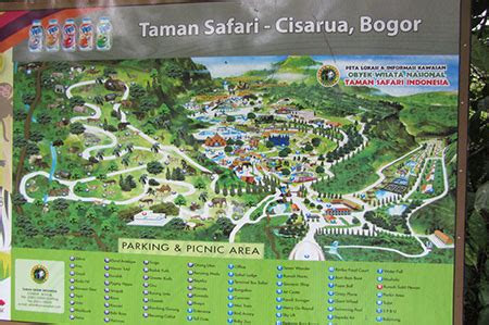 malcolms trip   taman safari indonesia