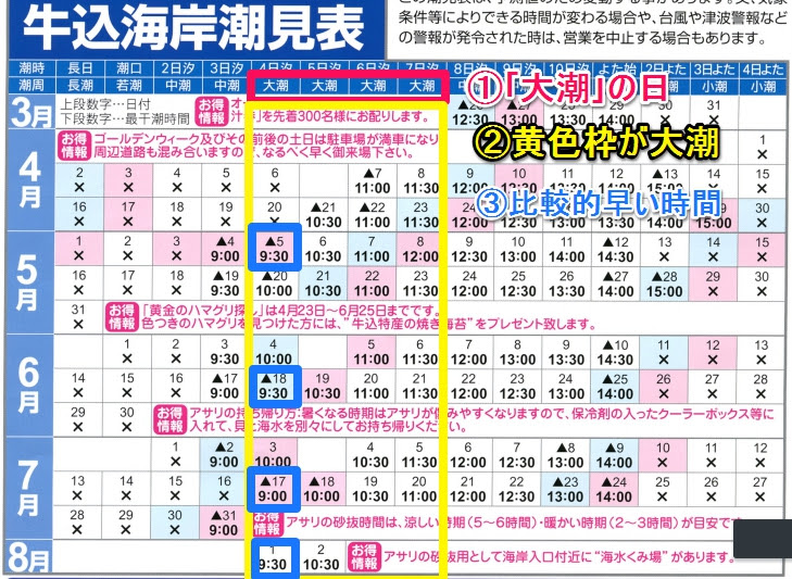 木更津の潮干狩り 16年 潮見表と見方をわかりやすく解説