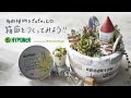 [最も人気のある！] 多肉植物 寄せ植え 箱庭 238069-多肉植物 寄せ植え 箱庭