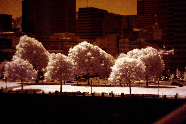 Waterfront Park, IR, May 2010