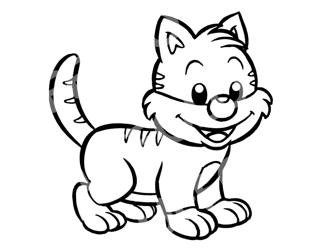 gattino bianco e nero