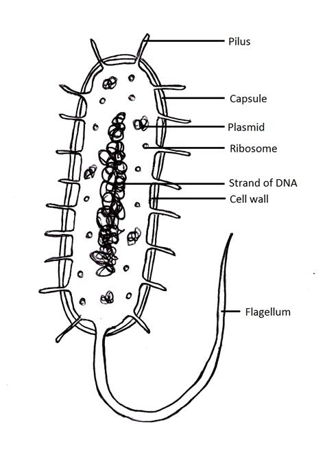 archaea tentative plant scientist