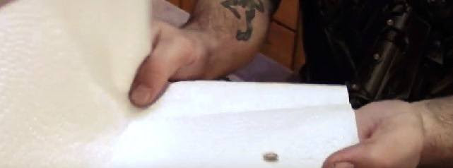 get seed into paper and fold-it-twice