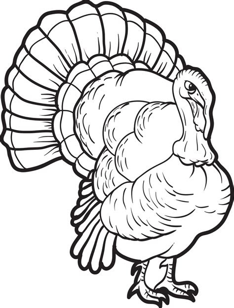 These printable pages feature various turkey species and designs, . printable turkey coloring page for kids 13 supplyme