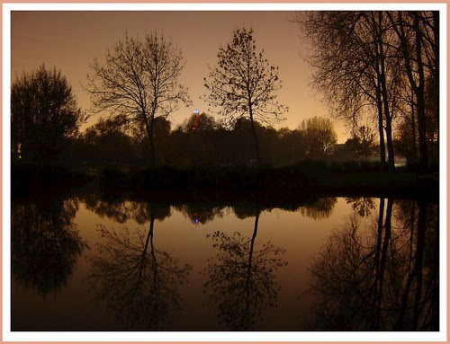 deux arbres