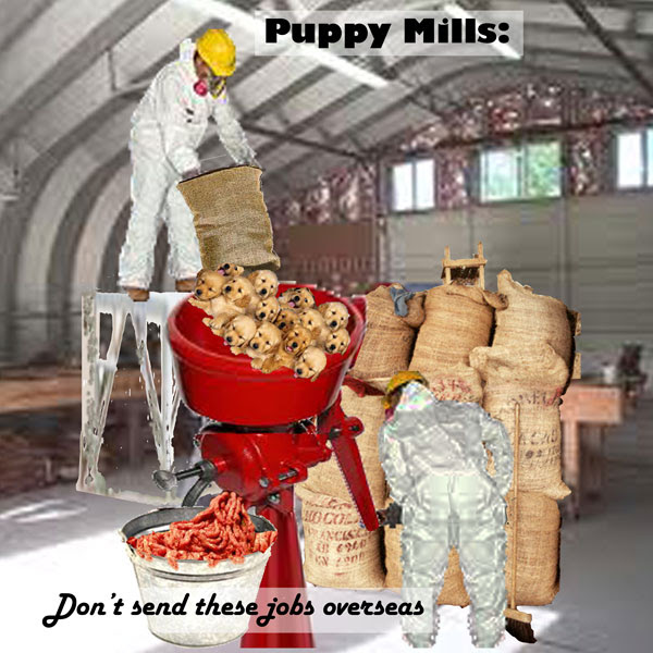puppy mill photos