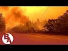 Being exposed to wildfire smoke and poor air quality can also increase your risk of infection, including SARS-CoV-2, the virus that causes COVID-19.