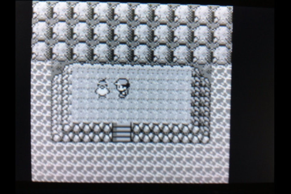 うさぎの隠れ家 ポケットモンスターを遊びつくす日記 Ex