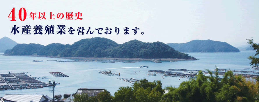 田脇水産 公式サイト 真鯛やトラフグの養殖及び鮮魚通販なら熊本県上天草市の田脇水産