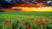 15+ 16 9 Wallpapers HD
