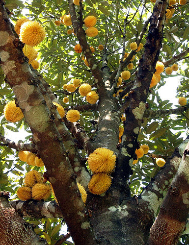 image002