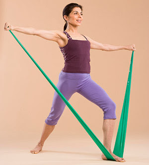 Fencer's Lunge