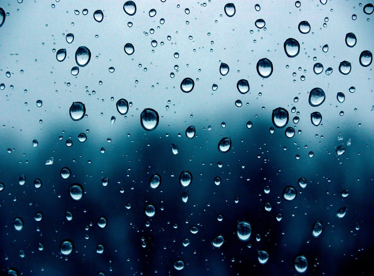http://25.media.tumblr.com/tumblr_mccpf0wvHo1ra7exvo1_1280.jpg