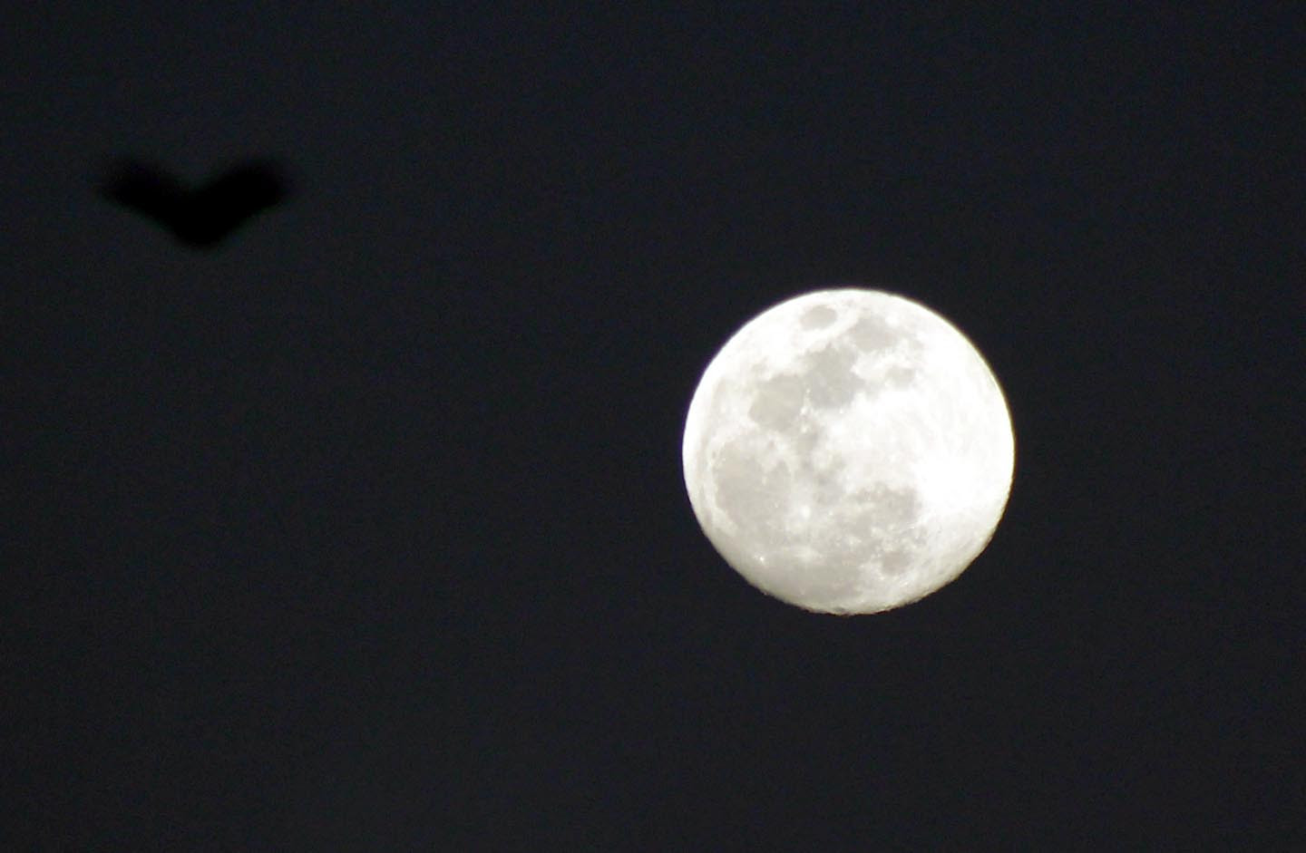 Foto foto Bulan Purnama Malam Ini Menjelang Gerhana Bulan Foto foto Bulan Purnama Malam Ini Menjelang Gerhana Bulan