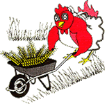 Proud Little Red Hen