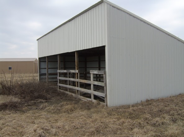 Building a Small Cattle Shed