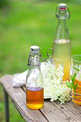 d share some blog links that are related to Estonia and Showing some link love