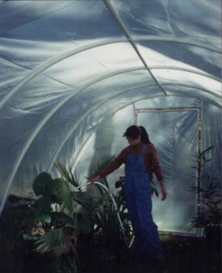 21 Cheap &amp; Easy DIY Greenhouse Designs You Can Build Yourself