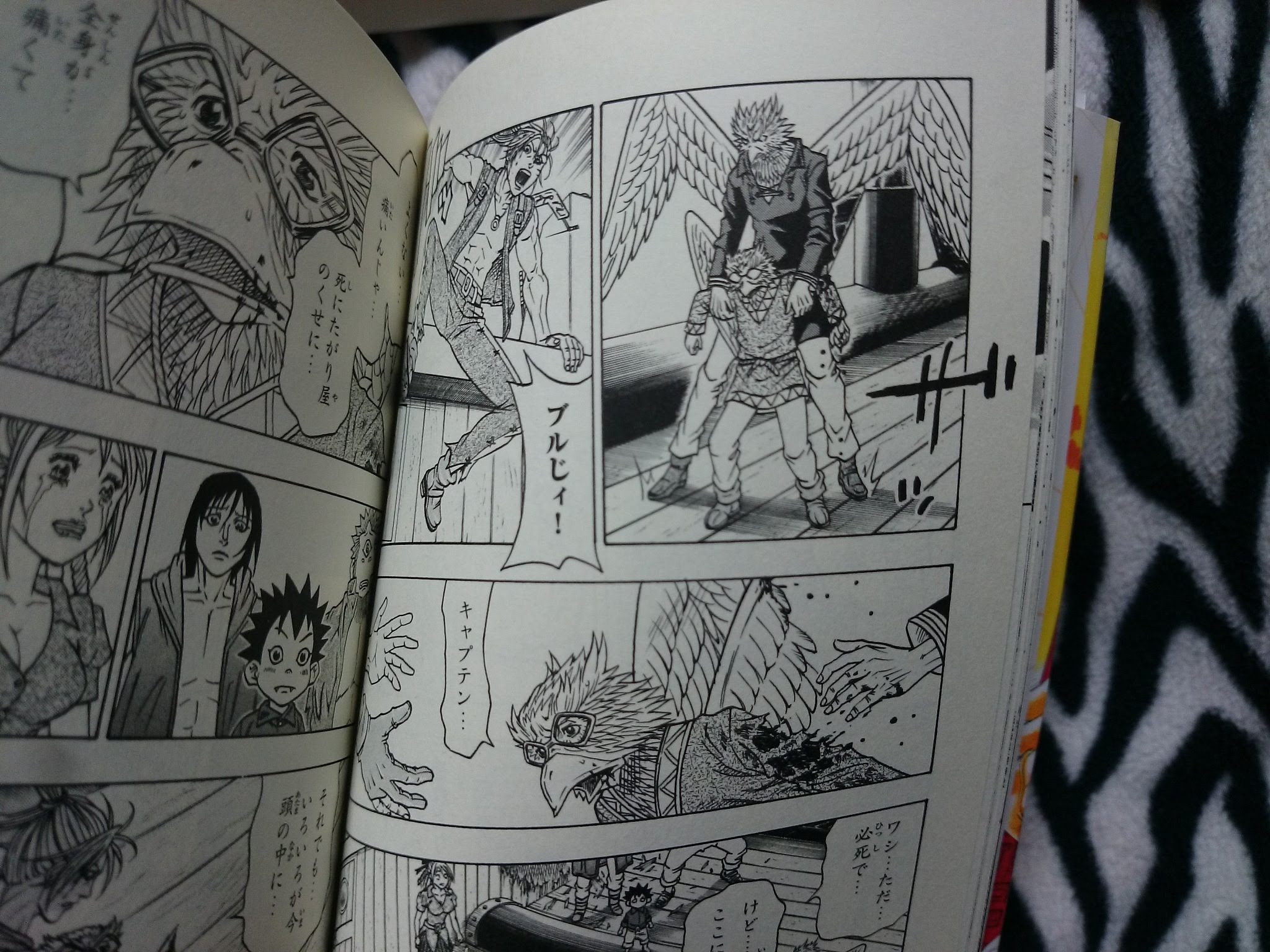 サンセットローズ 巻です ゆる い日記