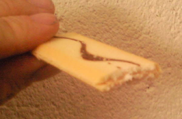 biscuit3