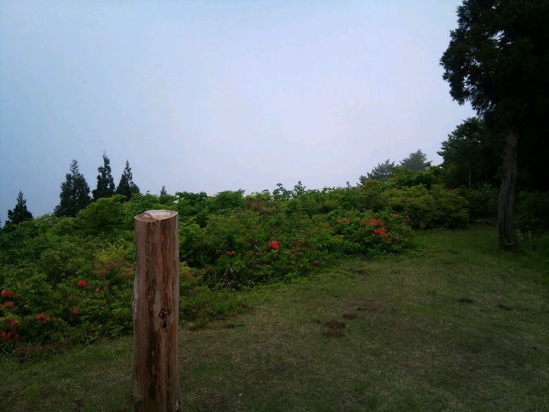 35a6fd54.jpg