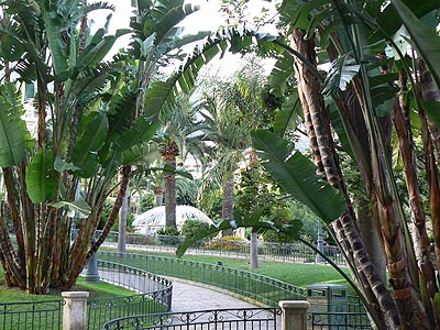 jardin public monégasque.jpg
