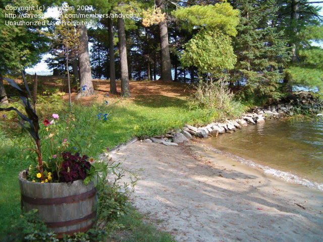andycdn wrote len you re right about the pines taking up lots of 