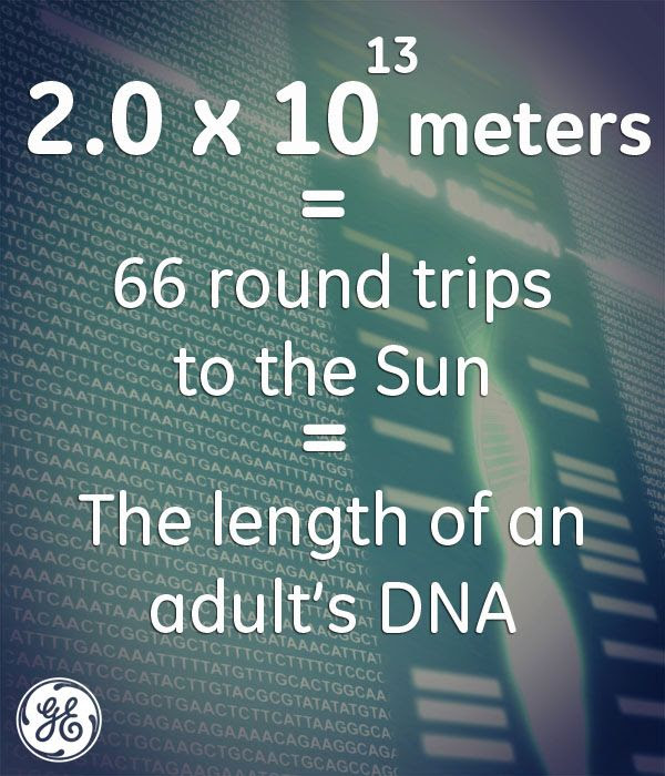 Fun Fact