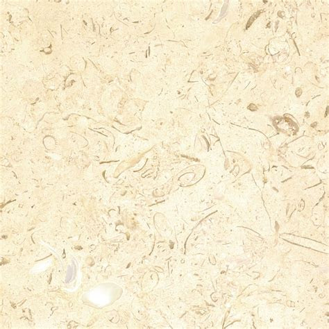 cream colored backgrounds wallpapersafari