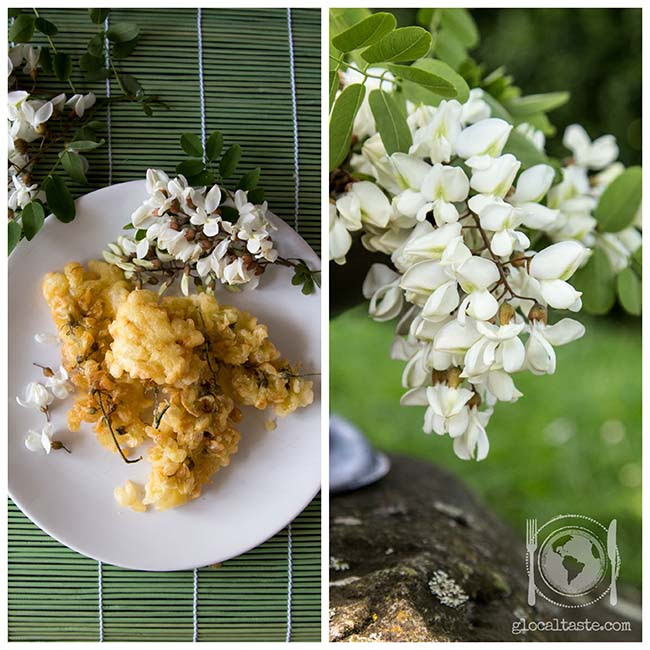 Pianta Di Fiori A Grappolo Bianchi - 14 Fiori Blu Per ...