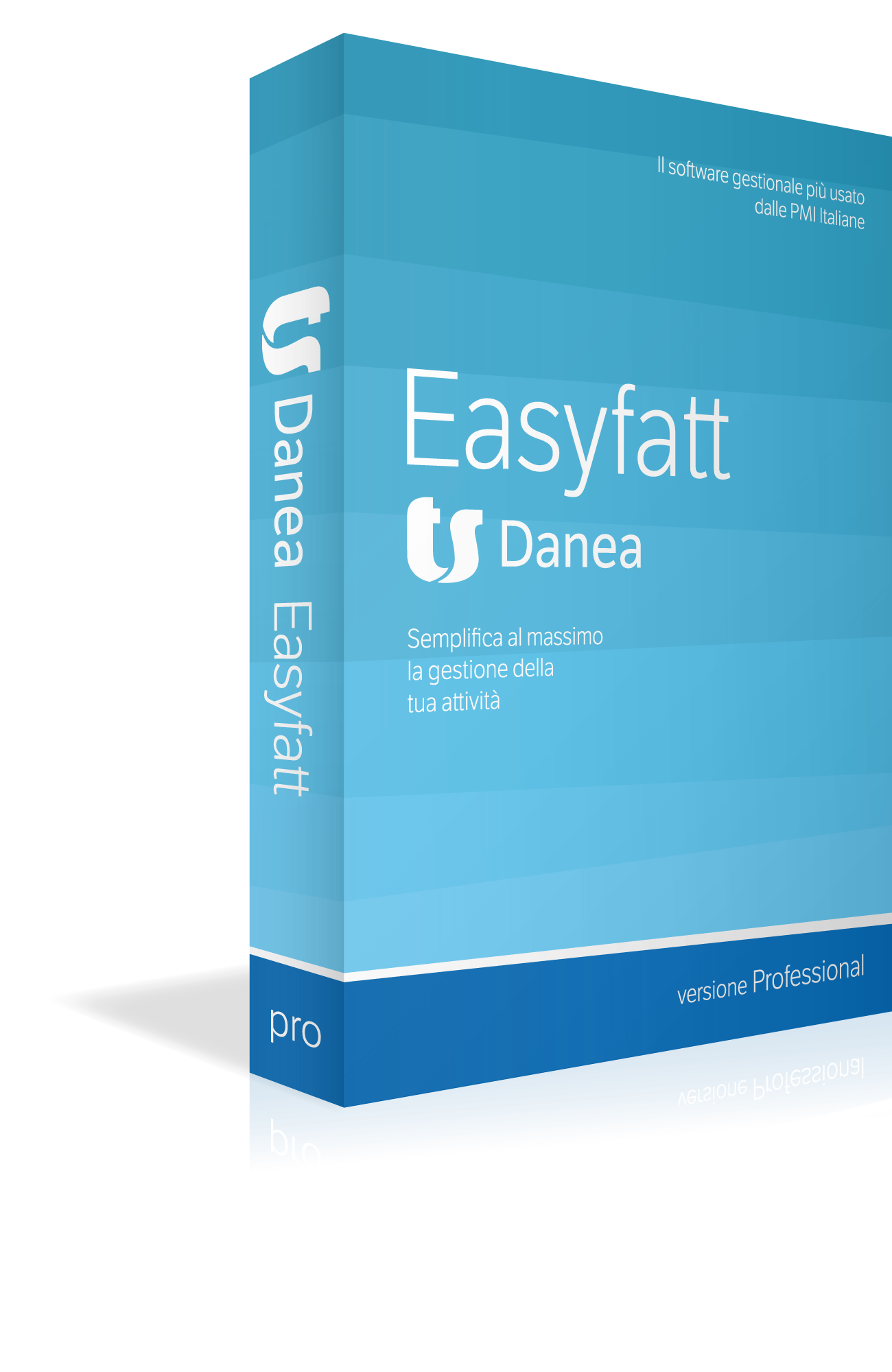 Danea Easyfatt Professional Download
