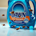 Does Dawn Dish Soap Kill Fleas on Pets? Here's What You Need to Know