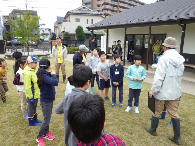 公園だより 杉並区立 成田西ふれあい農業公園