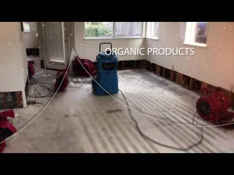 Foto Water Damage Restoration Companies