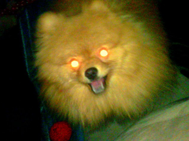 Evil Merlin