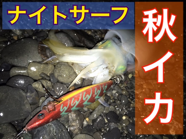 秋イカエギング 夜のサーフで良型アオリイカが連続ヒット 六畳一間の狼ブログ