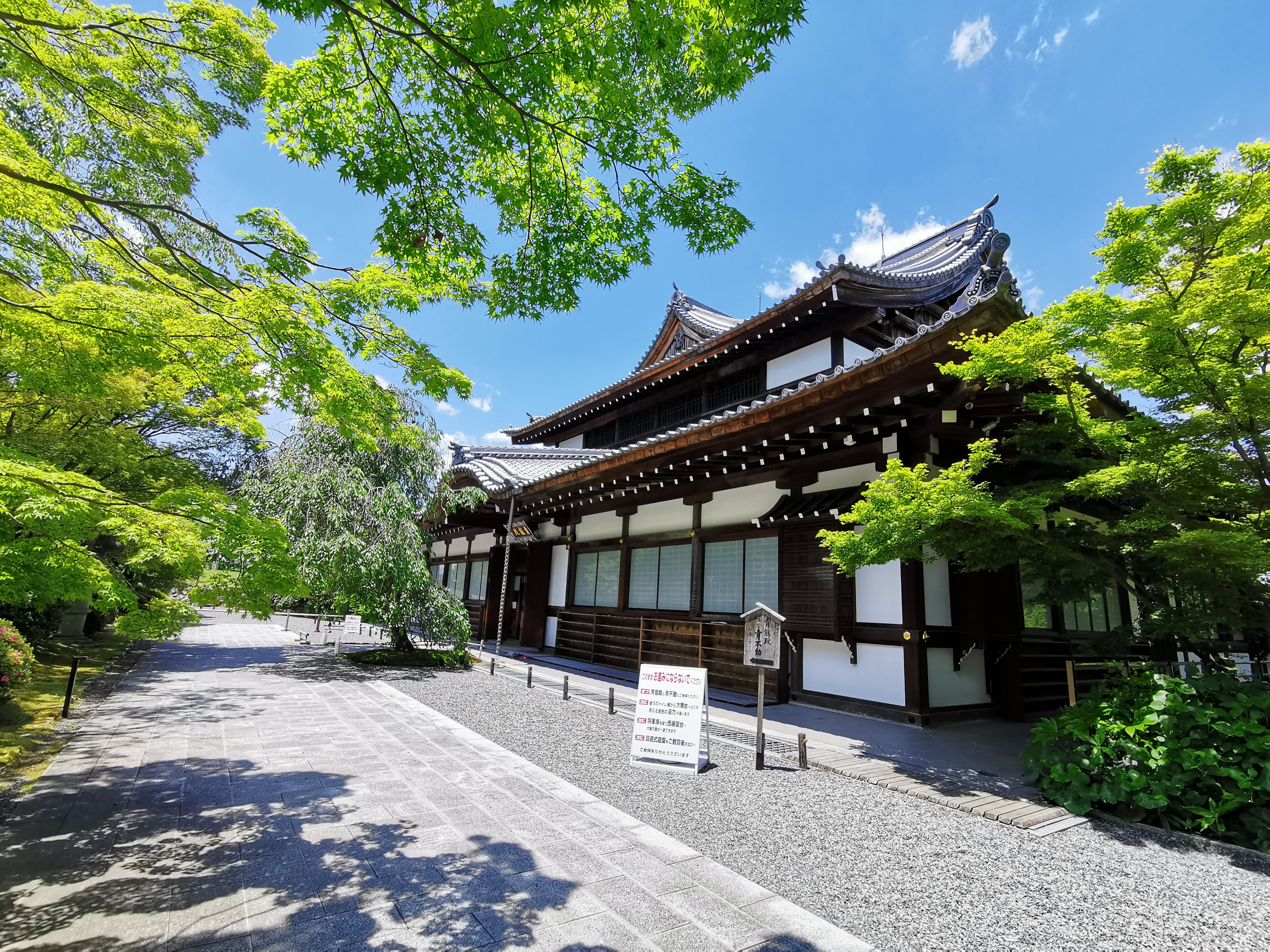 京都 6月の将軍塚の大舞台から見える絶景 観光 デートにおすすめ