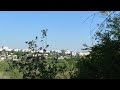 Видео Canon Powershot SX50 HS Video Mega Zoom Test HD 1080p