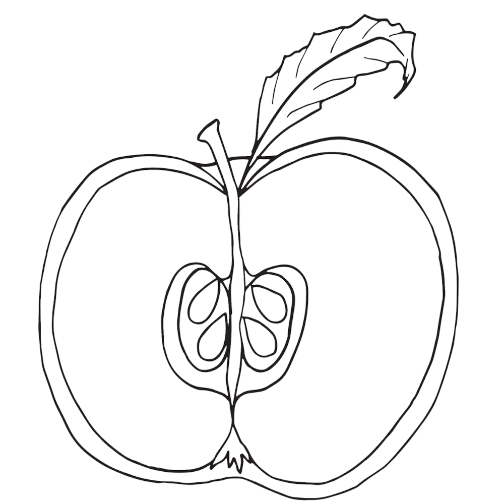 Download Apple Core Coloring Page at GetColorings.com | Free ...