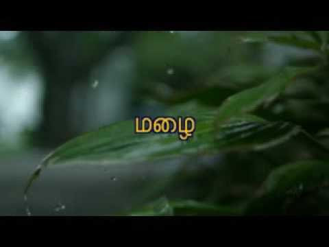மரங்களே... மரங்களே.. ! 