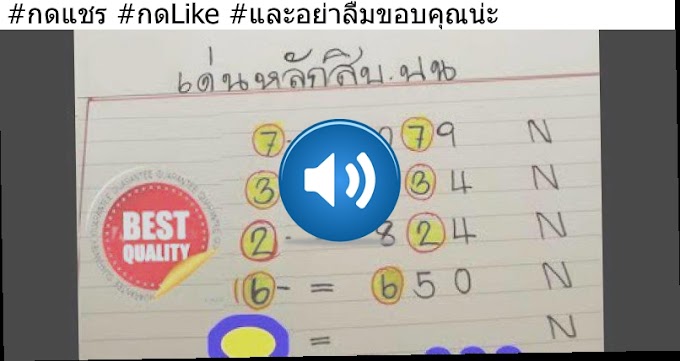 pp fiber geo strap production line